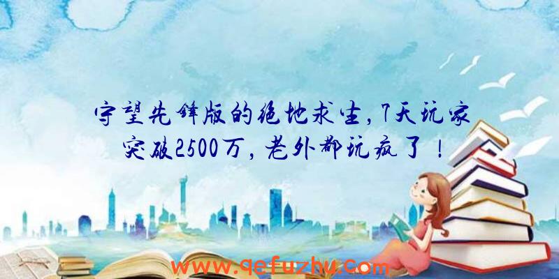 守望先锋版的绝地求生，7天玩家突破2500万，老外都玩疯了！（守望先锋